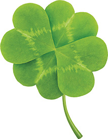 a four leaf clover