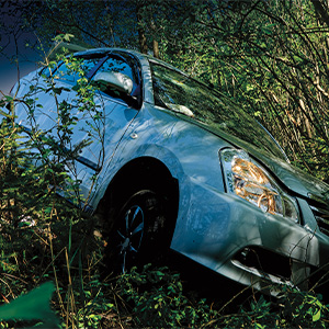 Image of a car stuck in the brush